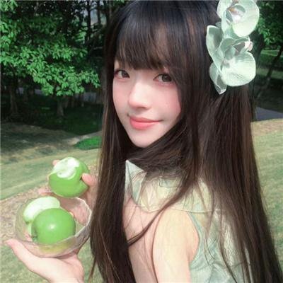 昙花缘未了封面