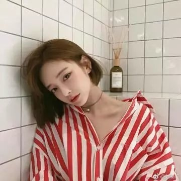 蔷薇少女封面